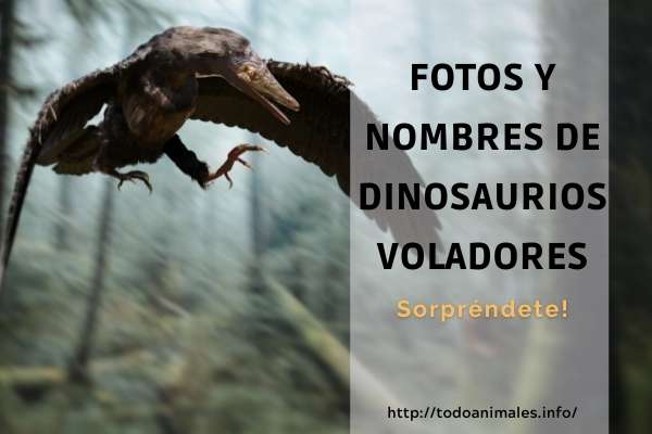 fotos y nombres de dinosaurios voladores