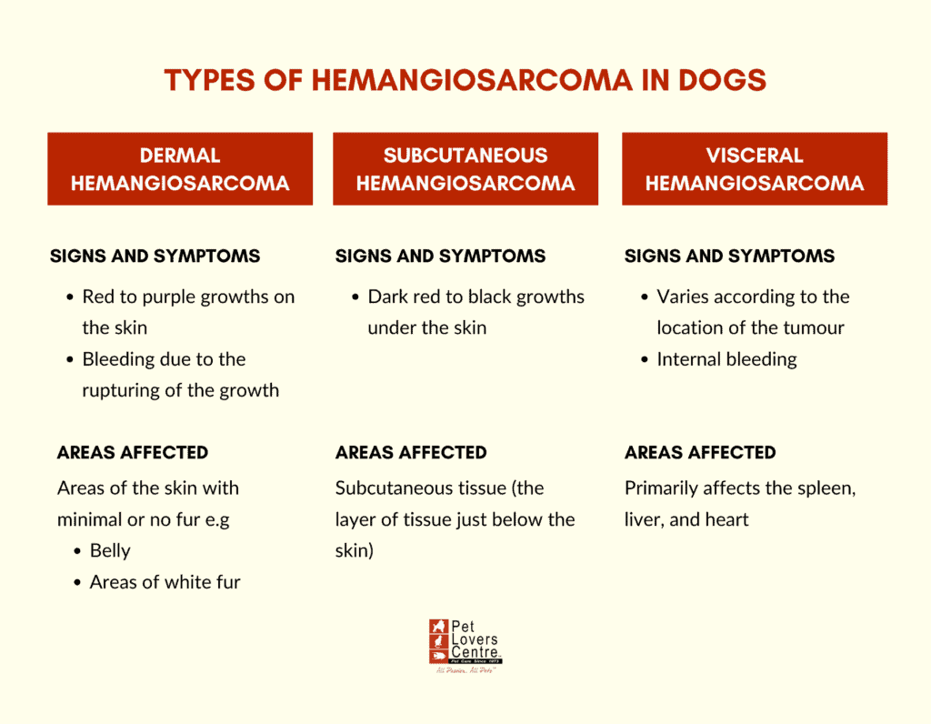 Tipos de hemangiosarcoma en perros