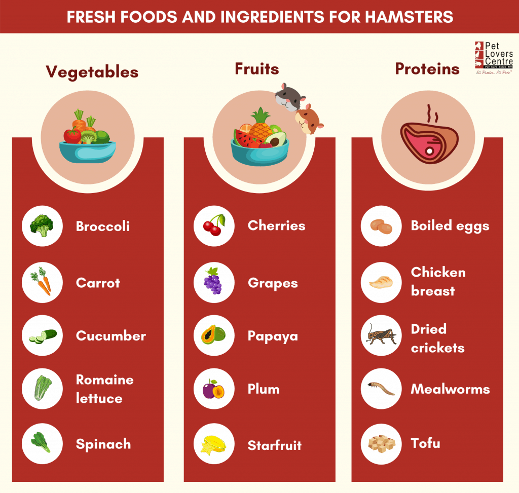 infografía que resume las verduras, frutas y proteínas que pueden comer los hámsters