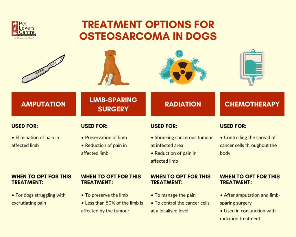 infografía sobre las opciones de tratamiento del osteosarcoma en perros