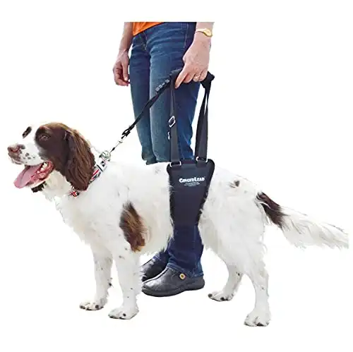 El arnés de soporte de cadera para perros GINGERLEAD, macho SM, se adapta a mascotas de tamaño pequeño y mediano (los perros salchicha utilizan el tamaño X-pequeño) o a perros más grandes, como los bóxers o los bullies. Fabricado en EE.UU.