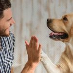 50 ideas de nombres originales para perros que te encantarán