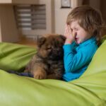 Las 10 Mejores Razas de Perros Pequeños para Niños Alergicos
