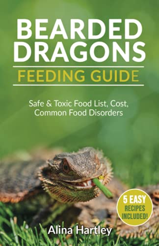 Guía de alimentación del dragón barbudo