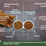 La composición de las croquetas para gatos: ¿qué ingredientes debes conocer?