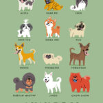 Descubre el número exacto: ¿Cuántas razas de perros hay en el mundo?