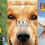 Las 10 razas de perros de películas más icónicas para amantes de los caninos