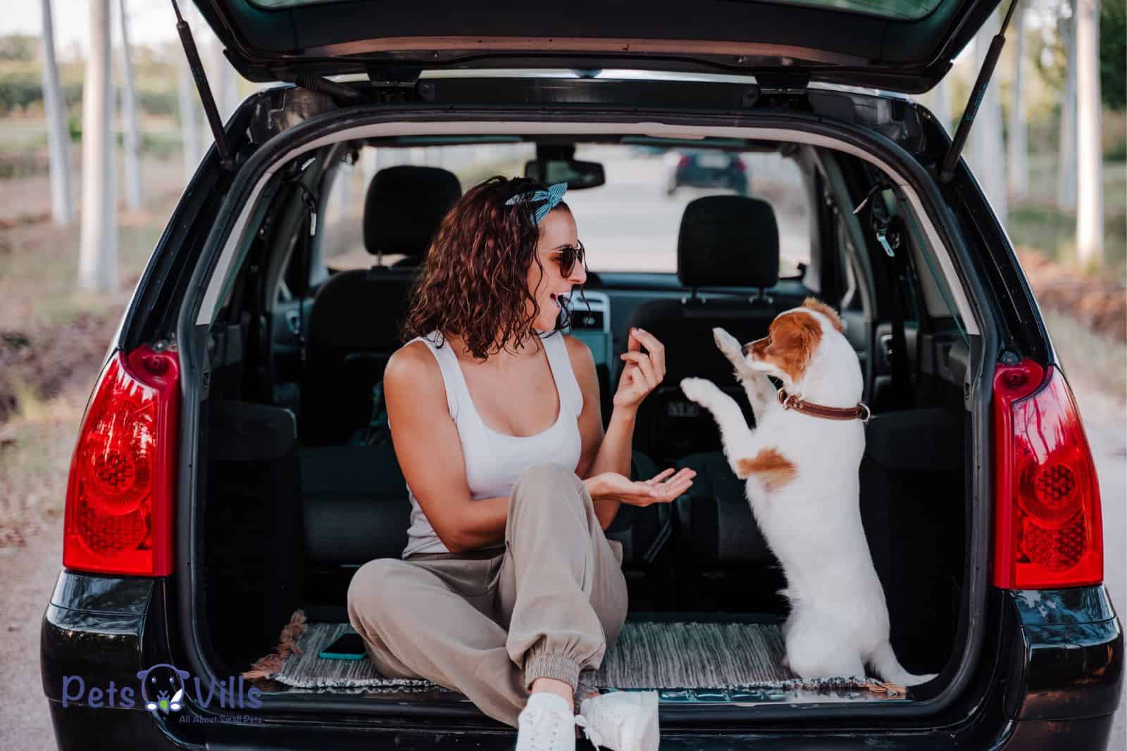 una señora y su perro descansan mientras viajan
