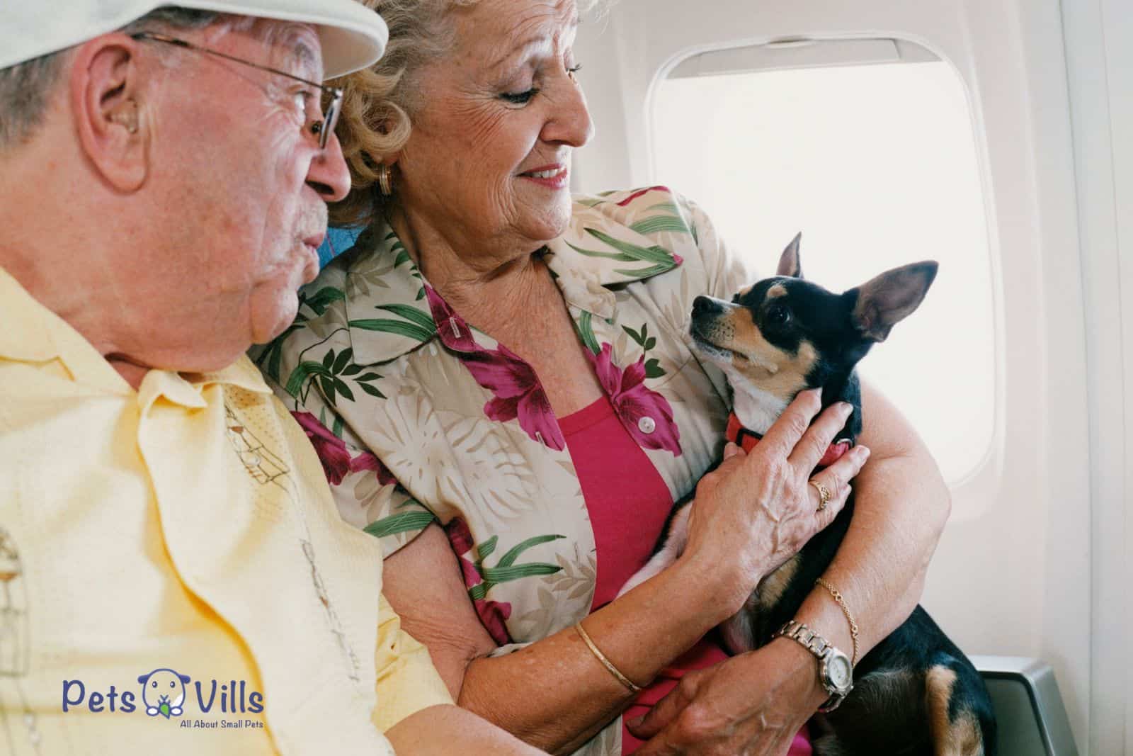 pareja de ancianos en un avión con su perro